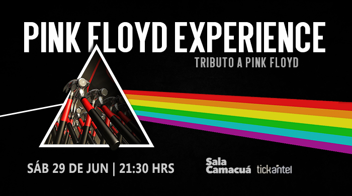 Pink Floyd Experience – Tributo a Pink Floyd